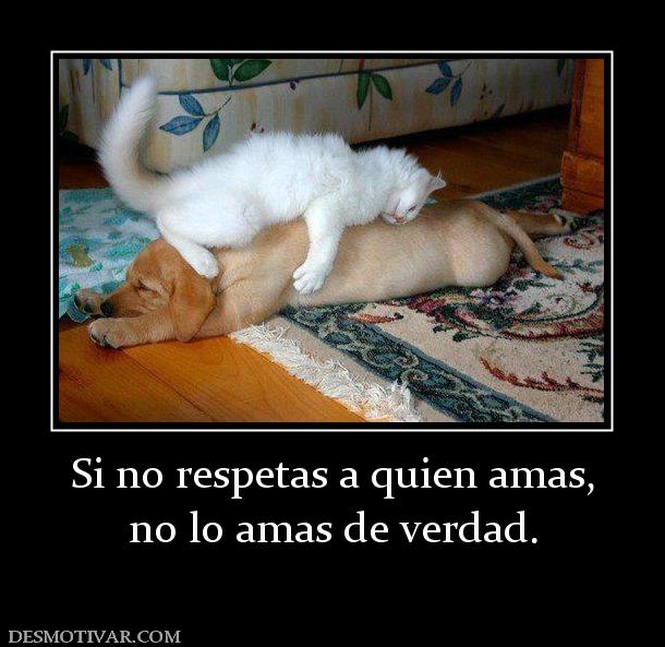 Si no respetas a quien amas, no lo amas de verdad.