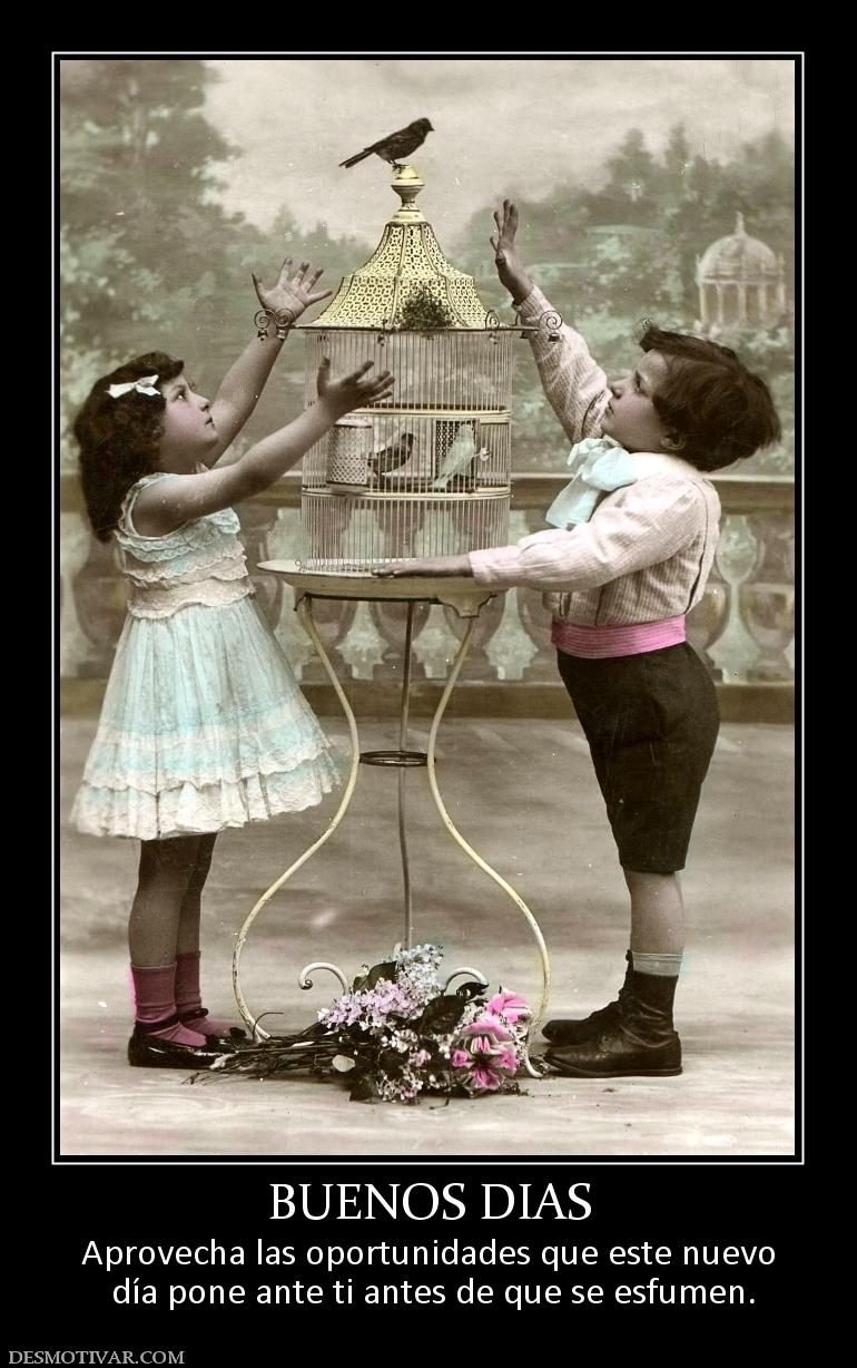 BUENOS DIAS Aprovecha las oportunidades que este nuevo  día pone ante ti antes de que se esfumen.