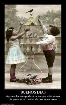 BUENOS DIAS Aprovecha las oportunidades que este nuevo  día pone ante ti antes de que se esfumen.