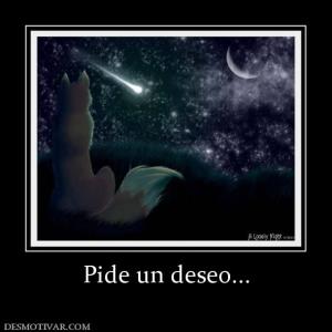 Pide un deseo...