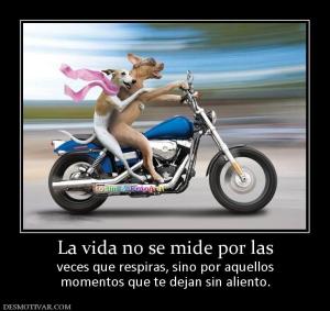 La vida no se mide por las veces que respiras, sino por aquellos momentos que te dejan sin aliento.