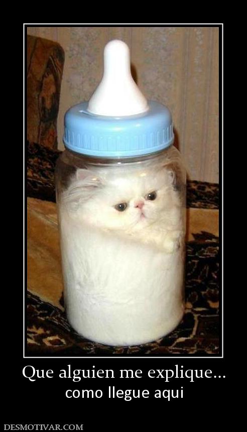 Que alguien me explique... como llegue aqui