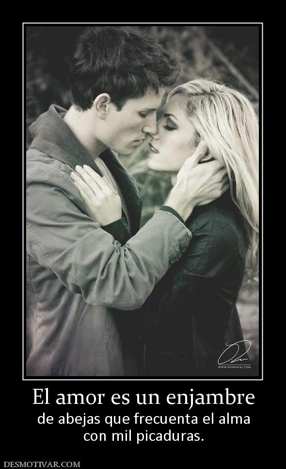 El amor es un enjambre de abejas que frecuenta el alma con mil picaduras.
