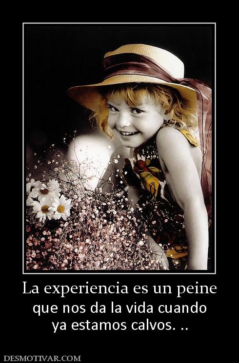 La experiencia es un peine que nos da la vida cuando ya estamos calvos. ..