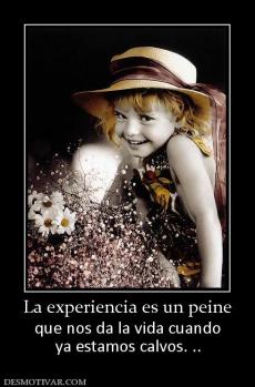 La experiencia es un peine que nos da la vida cuando ya estamos calvos. ..