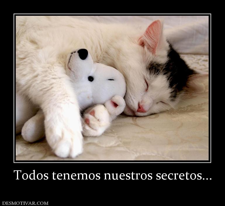 Todos tenemos nuestros secretos...
