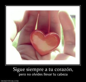 Sigue siempre a tu corazón, pero no olvides llevar tu cabeza