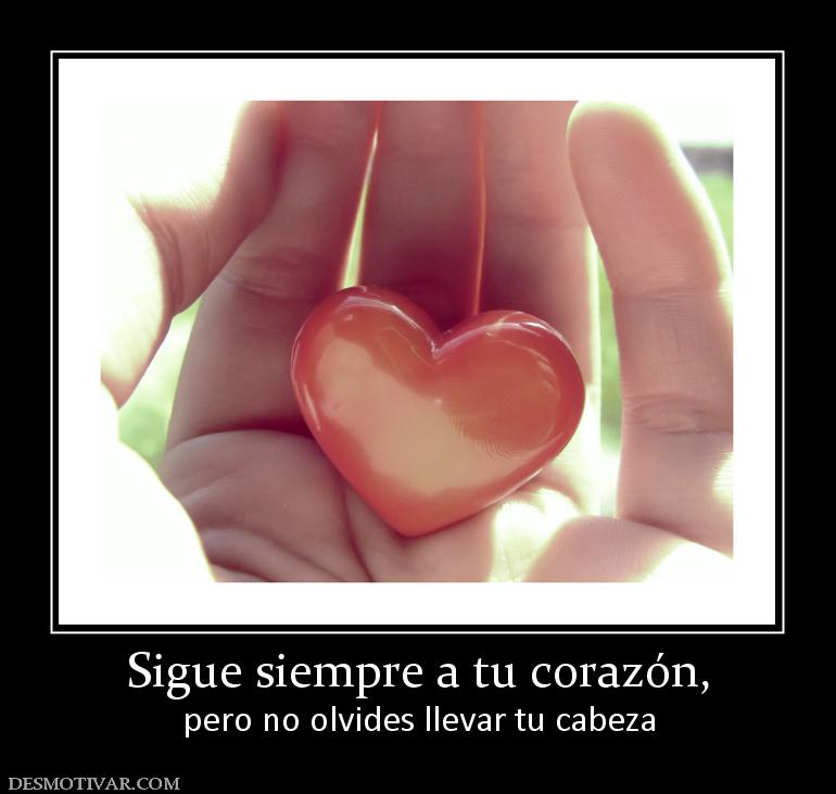 Sigue siempre a tu corazón, pero no olvides llevar tu cabeza