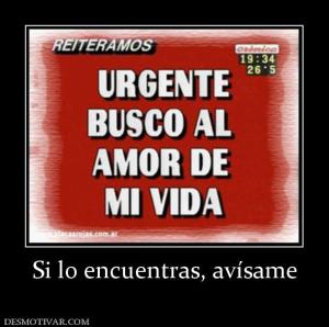 Si lo encuentras, avísame