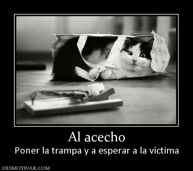 Al acecho Poner la trampa y a esperar a la víctima