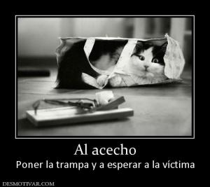 Al acecho Poner la trampa y a esperar a la víctima
