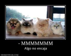 - MMMMMMM Algo no encaja