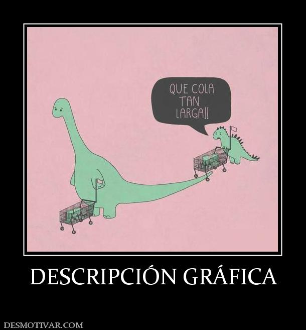 DESCRIPCIÓN GRÁFICA