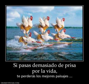 Si pasas demasiado de prisa por la vida,  te perderás los mejores paisajes ...