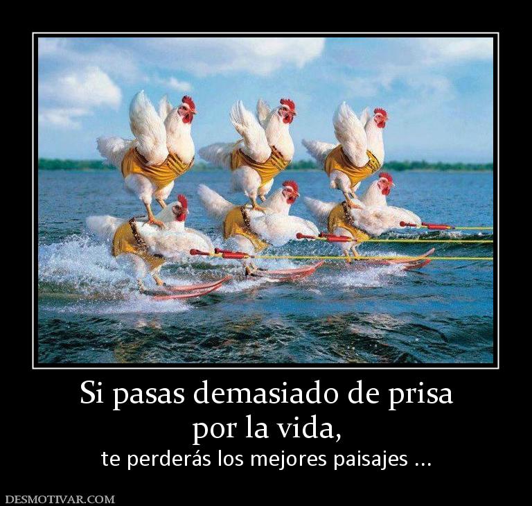 Si pasas demasiado de prisa por la vida,  te perderás los mejores paisajes ...