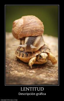 LENTITUD Descripción gráfica