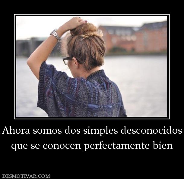 Ahora somos dos simples desconocidos que se conocen perfectamente bien