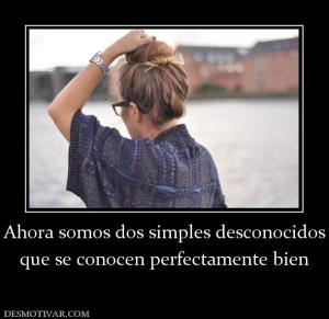 Ahora somos dos simples desconocidos que se conocen perfectamente bien