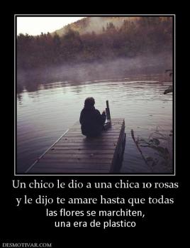 Un chico le dio a una chica 10 rosas y le dijo te amare hasta que todas las flores se marchiten, una era de plastico