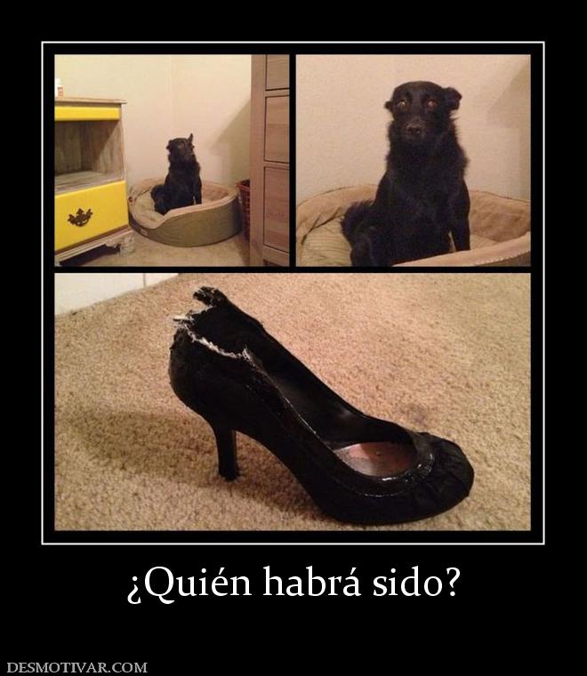 ¿Quién habrá sido?