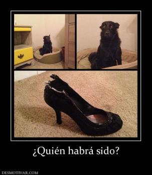 ¿Quién habrá sido?