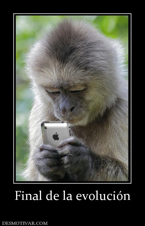 Final de la evolución