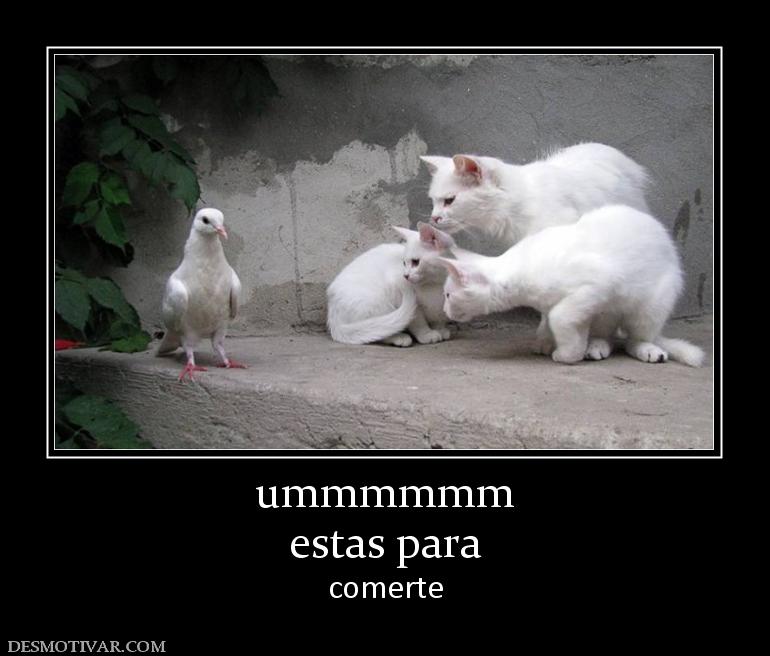 ummmmmm estas para comerte