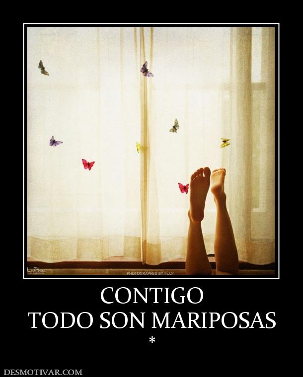 CONTIGO TODO SON MARIPOSAS *