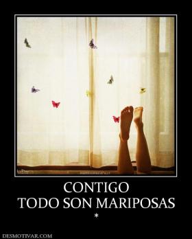 CONTIGO TODO SON MARIPOSAS *