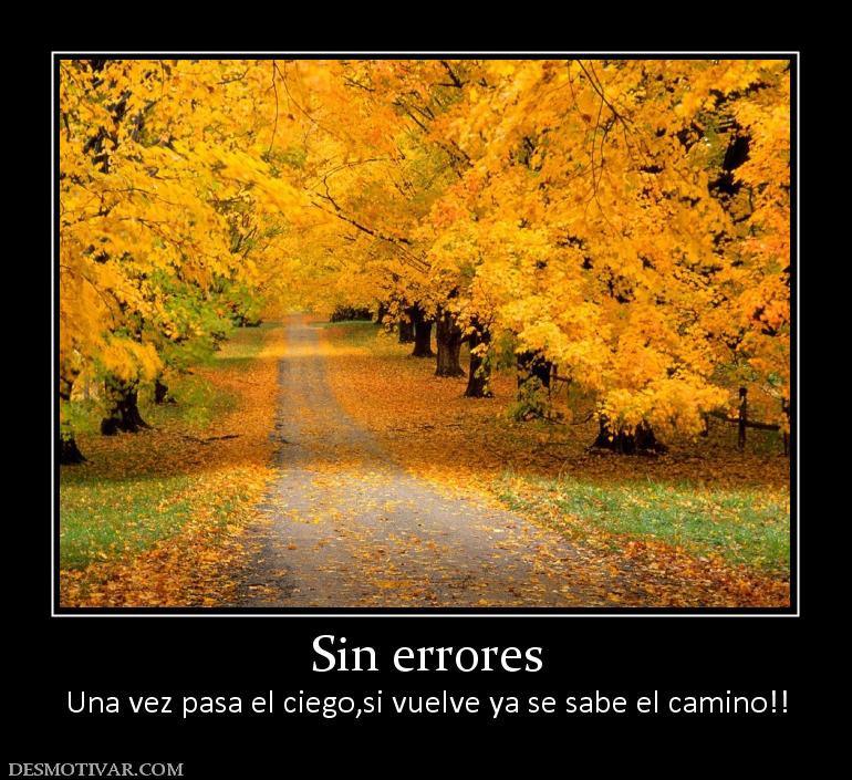 Sin errores Una vez pasa el ciego,si vuelve ya se sabe el camino!!