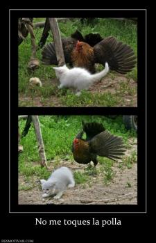 No me toques la polla