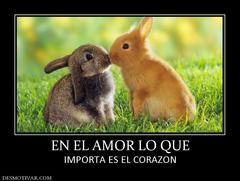 EN EL AMOR LO QUE IMPORTA ES EL CORAZON