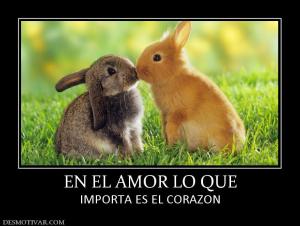 EN EL AMOR LO QUE IMPORTA ES EL CORAZON