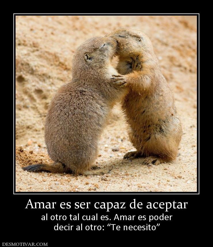 Amar es ser capaz de aceptar al otro tal cual es. Amar es poder decir al otro: “Te necesito”
