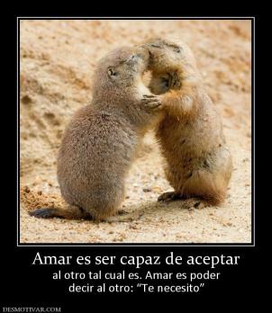 Amar es ser capaz de aceptar al otro tal cual es. Amar es poder decir al otro: “Te necesito”