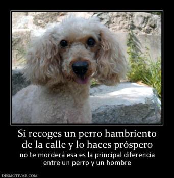 Si recoges un perro hambriento de la calle y lo haces próspero no te morderá esa es la principal diferencia entre un perro y un hombre