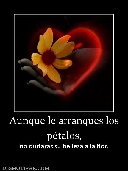 Aunque le arranques los pétalos, no quitarás su belleza a la flor.
