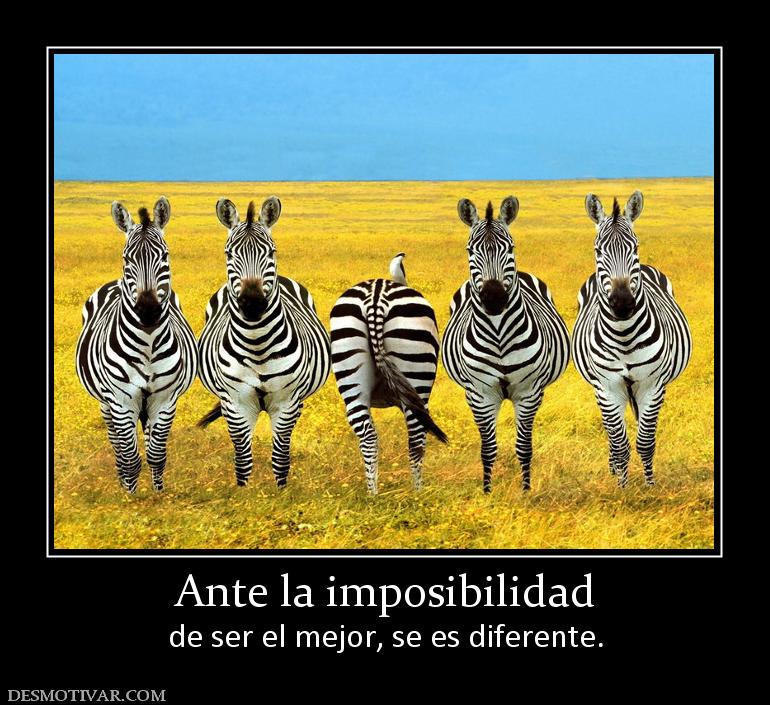 Ante la imposibilidad de ser el mejor, se es diferente.