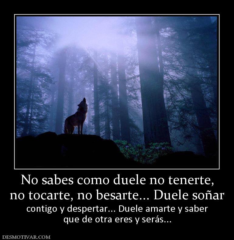No sabes como duele no tenerte, no tocarte, no besarte... Duele soñar  contigo y despertar... Duele amarte y saber que de otra eres y serás...