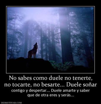 No sabes como duele no tenerte, no tocarte, no besarte... Duele soñar  contigo y despertar... Duele amarte y saber que de otra eres y serás...