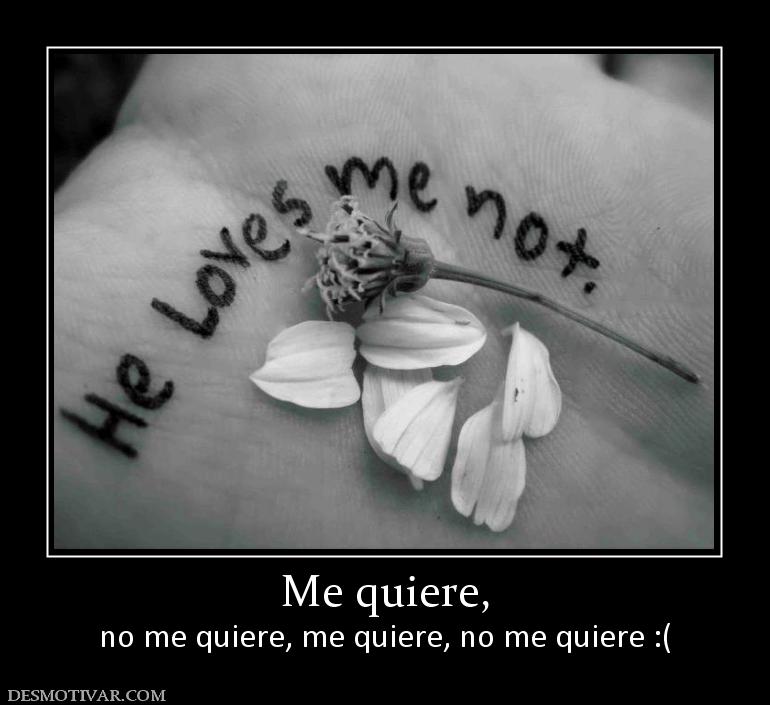 Me quiere, no me quiere, me quiere, no me quiere :(