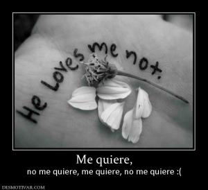 Me quiere, no me quiere, me quiere, no me quiere :(