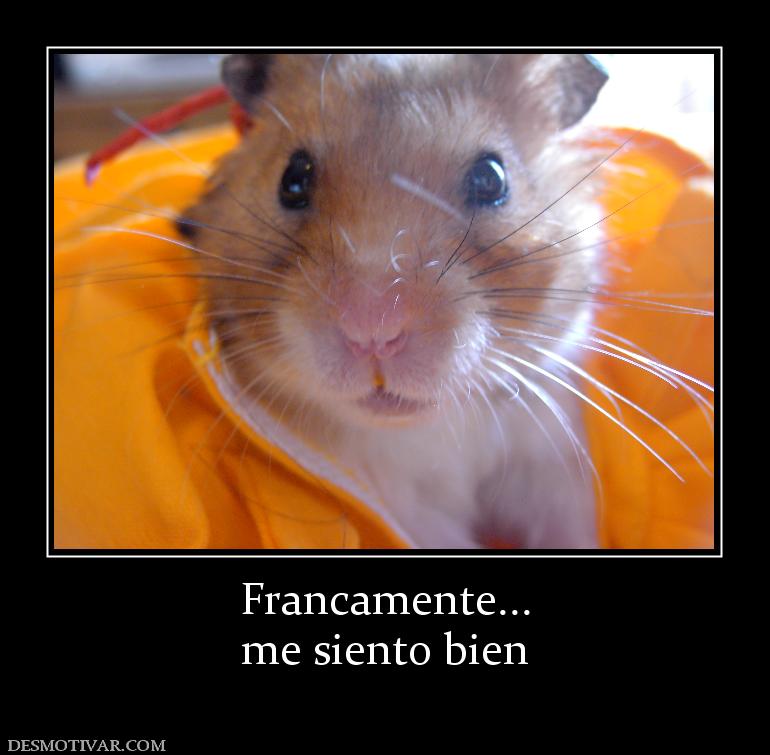 Francamente... me siento bien