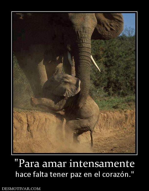 hace falta tener paz en el corazón.