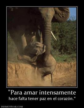 hace falta tener paz en el corazón.