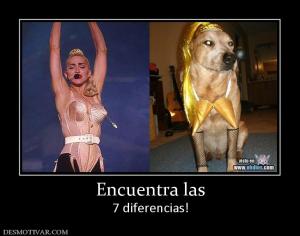 Encuentra las 7 diferencias!