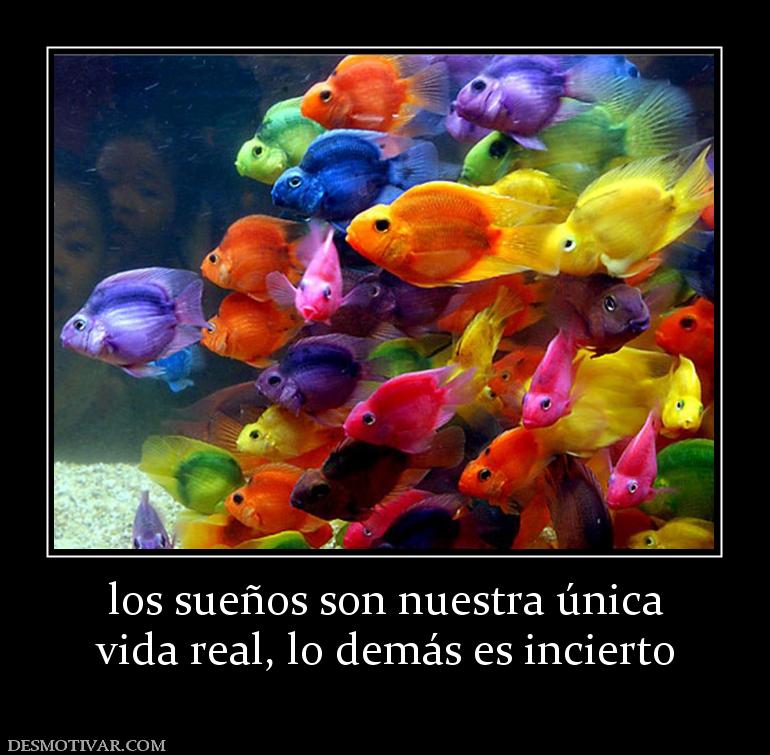 los sueños son nuestra única vida real, lo demás es incierto