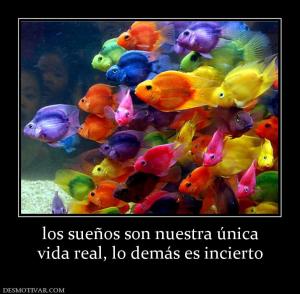 los sueños son nuestra única vida real, lo demás es incierto