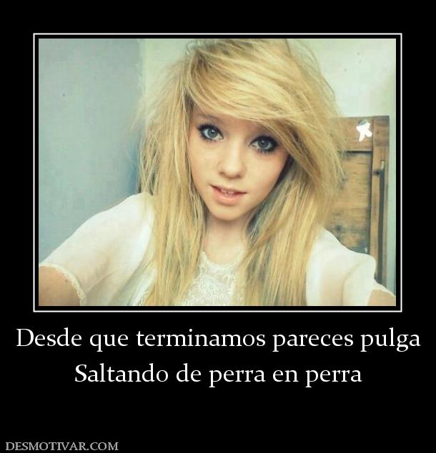 Desde que terminamos pareces pulga Saltando de perra en perra