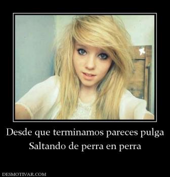 Desde que terminamos pareces pulga Saltando de perra en perra